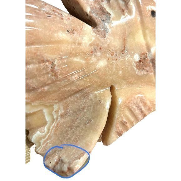 Beach Theme - Carved, Polished Marble Angelfish - Picture 6 of 6